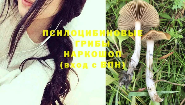 метадон Бородино